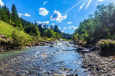 Karpat dağlarında bir nehir