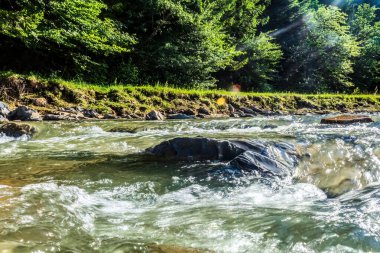 Ormanda güzel bir şelale