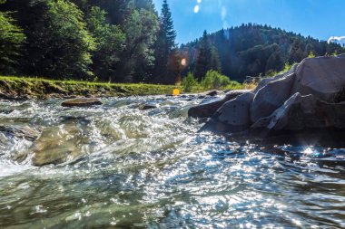 Suyun içinden akan güzel bir dağ nehri.