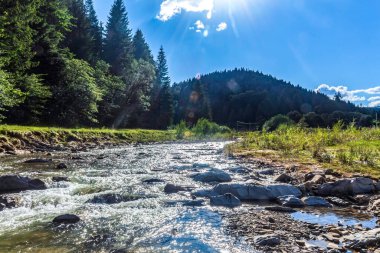 Karpatlar 'daki güzel dağ nehri.