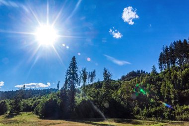 Karpatlar 'da dağda güneşli bir gün