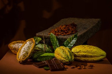 Composition of cocoa pods, chocolate bar and roasted cocoa beans on a grinding stone. clipart
