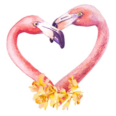 Suyun içinde duran pembe flamingo beyaz arka planda izole edilmiş. Suluboya çizimi. Sevgililer Günü tebrik kartı.