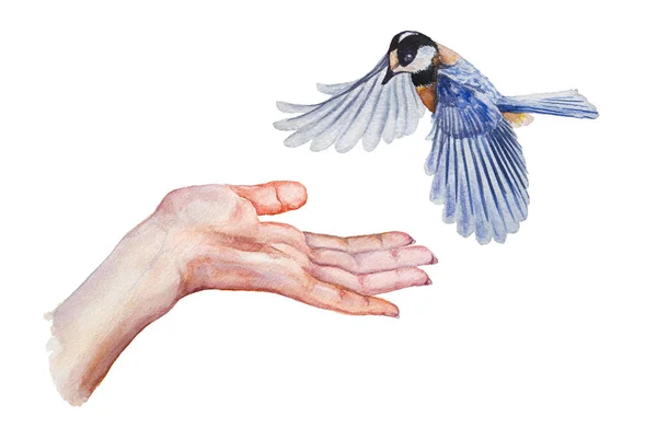 Zit Een Vogeltje Zijn Hand Aquarelillustratie Geïsoleerd Wit — Stockfoto