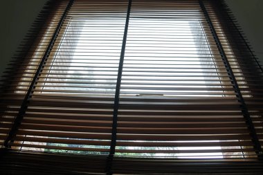 ahşap kör ağaç arka perde ve gölge gölge