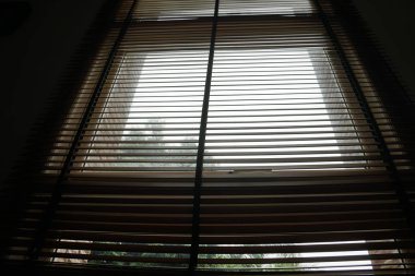 ahşap kör ağaç arka perde ve gölge gölge