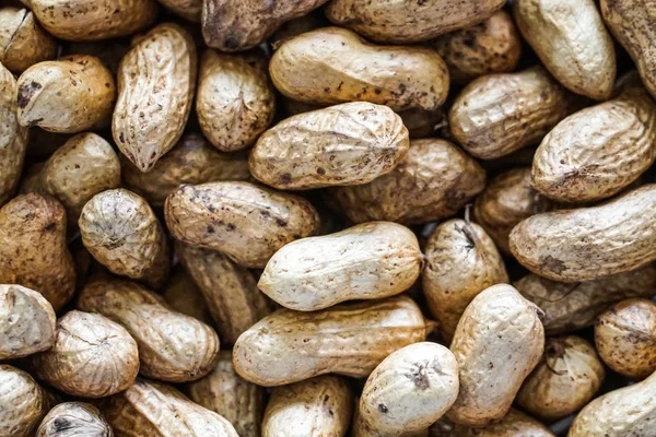 roasted peanuts background pattern