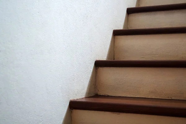 ağaç Beton merdiven gölge