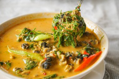 Tay geleneksel baharatlı kırmızı köri ile midye akasya pennata salyangoz