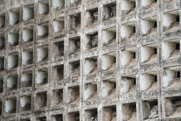 Bina dış cephe doku kare desen