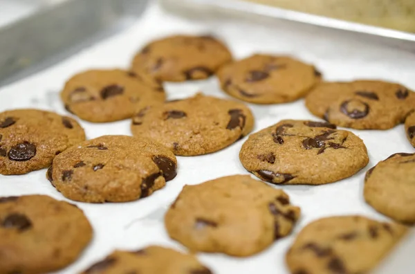 Assar Biscoitos Chocolate Caseiros Frescos Bandeja — Fotografia de Stock