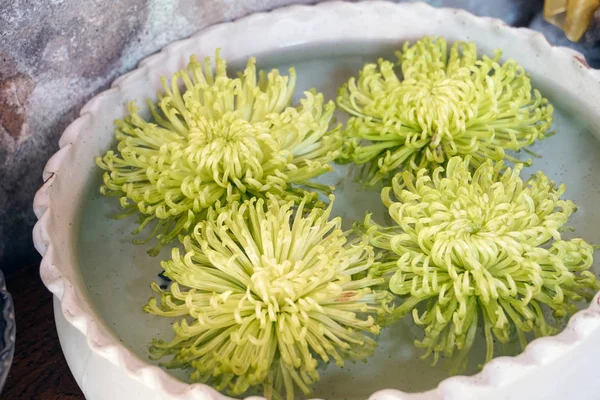 green plant float on water bowl decoration