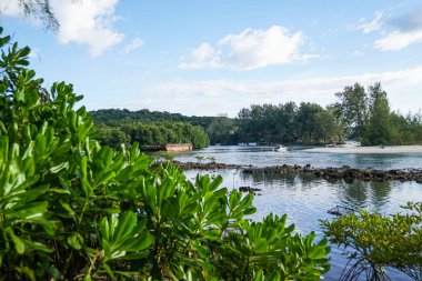 Koh kood ada, Tayland, iskele mavi su deniz kum taş mangrov orman, gemi