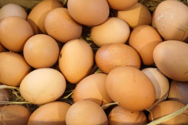 sepet içinde çiftlik taze yumurta