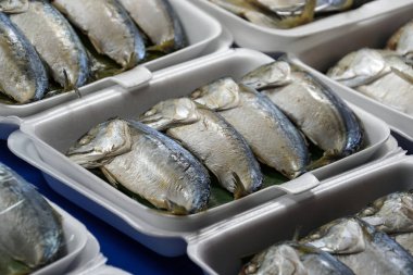 Tayland Körfezi Market Uskumru balığı buğulama