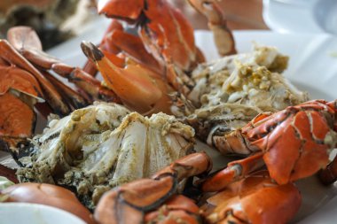 Çamur yengeç deniz mahsulleri sosu ile pişmiş