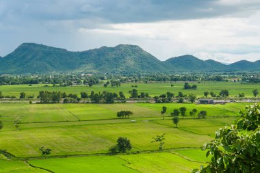 yeşil pirinç tarlası dağ manzara Tayland