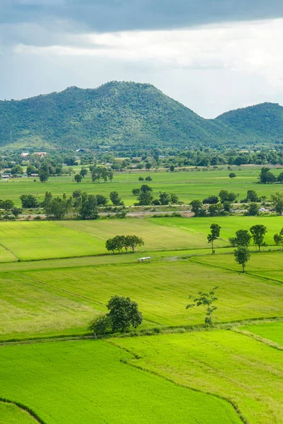 Grüne Reisfelder Berglandschaft Thailand — Stockfoto