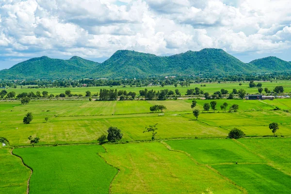 Grüne Reisfelder Berglandschaft Thailand — Stockfoto