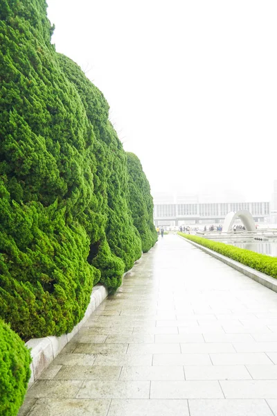 Grote Groene Bush Langs Het Pad Lopen — Stockfoto