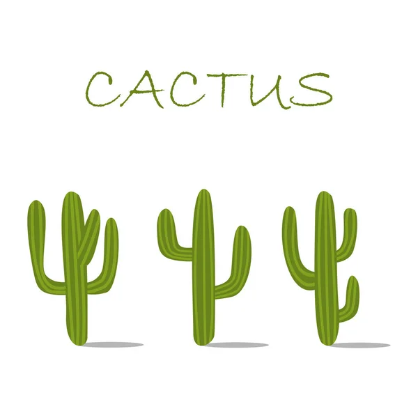 Icona set di cactus — Vettoriale Stock