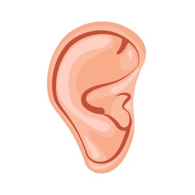 İnsan kulağının simgesi