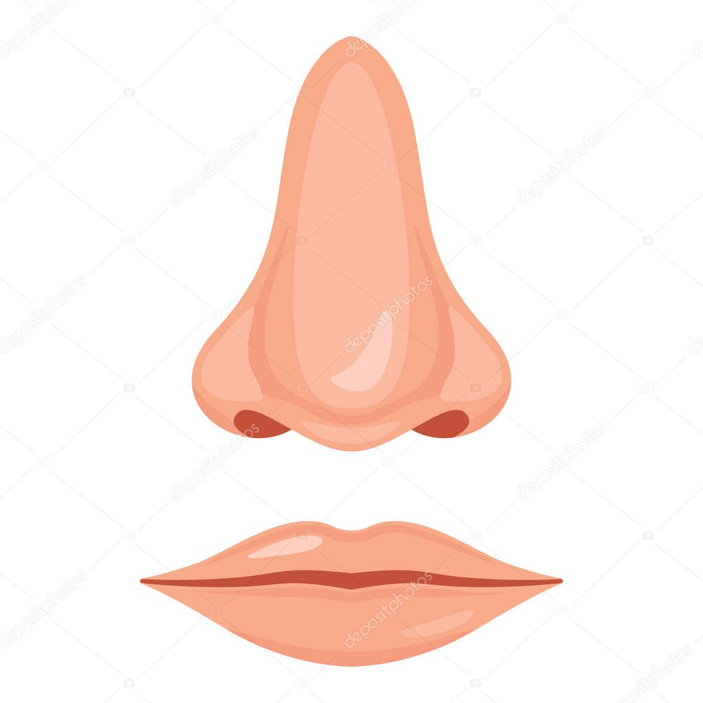 Human nose and mouth