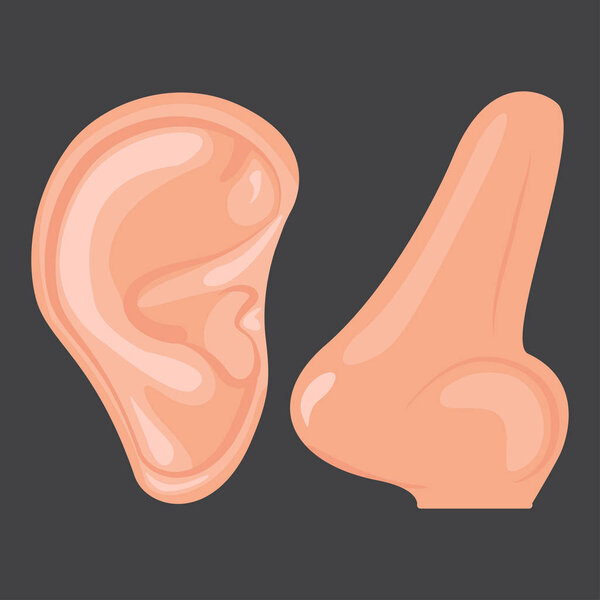 Human ear nose