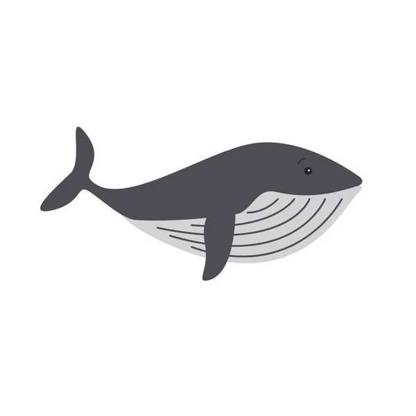 Whales and dolphins sea design icon vector — Stock Vector