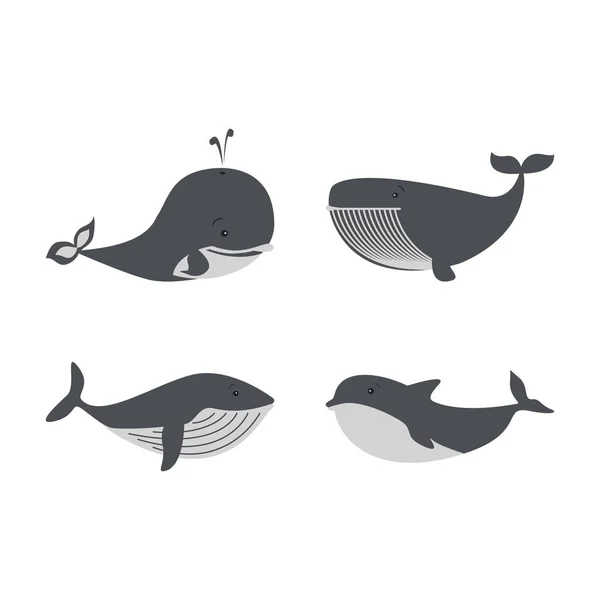 Baleines et dauphins ensemble vectoriel icône design de la mer — Image vectorielle