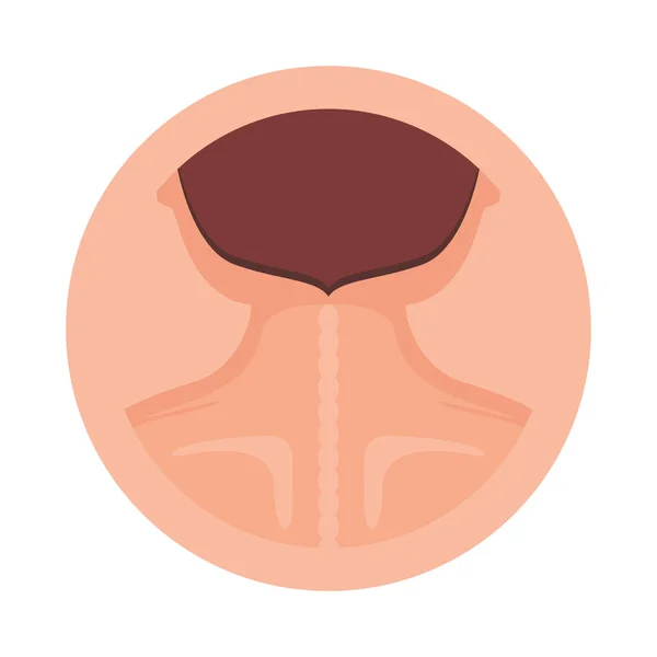 Vector de diseño de cuello humano e icono de espalda — Vector de stock