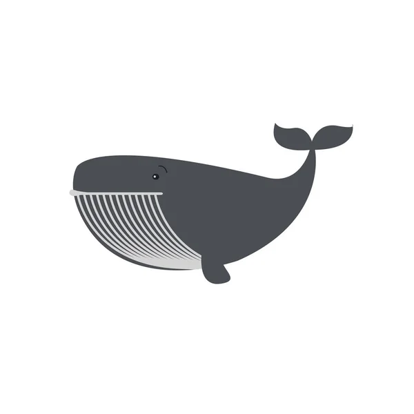 Baleines et dauphins design de la mer icône vecteur — Image vectorielle