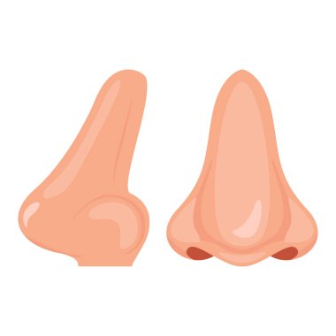 Human nose icon clipart