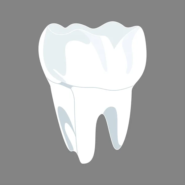 Białych zębów renderowania 3d. Koncepcja stomatologiczne, Medycyna i zdrowie — Wektor stockowy