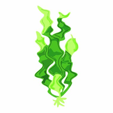 Yosun. Deniz sualtı bitki örtüsü, akvaryum yosunu. Okyanus bitkileri