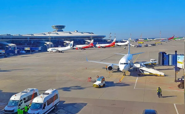 Nice, Fransa - 2018 olabilir. Uçak Viyana Uluslararası Havalimanı ön kontrol hizmetinde geçer