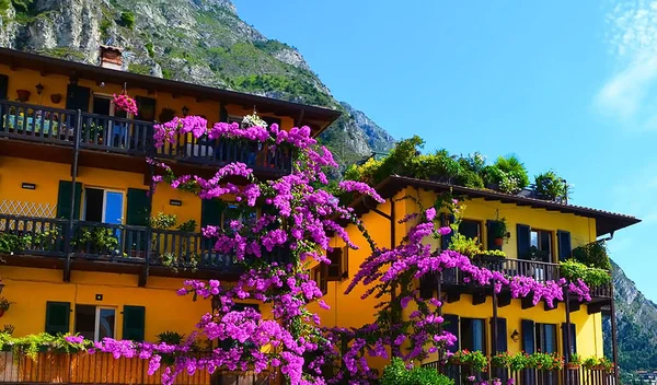 Färgglada Blommor Dekorera Gamla Hus Limone Sul Garda Gardasjön Italien — Stockfoto