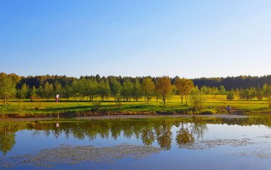 Orman Gölü, çam ormanları ve çalılar sarı-kırmızı sonbahar sesleri. Göl renkli bir sonbahar ormanda yansıman.