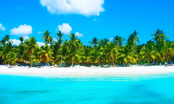 Spiaggia Tropicale Nel Mare Dei Caraibi Isola Saona Repubblica Dominicana — Foto Stock