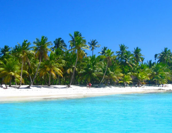 Spiaggia Tropicale Nel Mare Dei Caraibi Isola Saona Repubblica Dominicana — Foto Stock