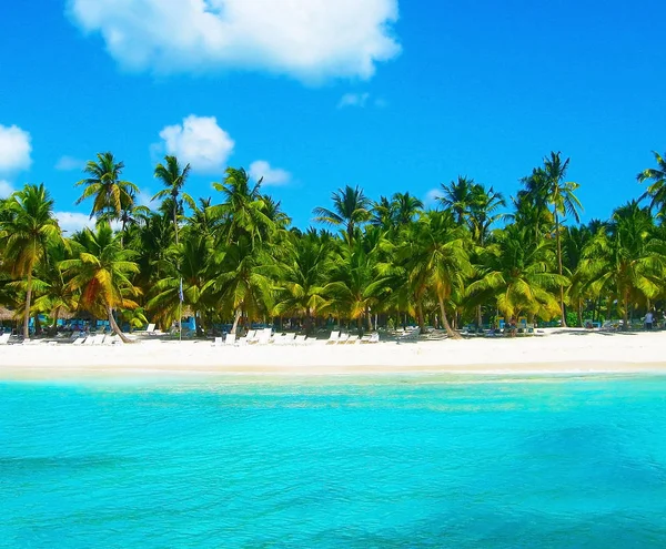 Tropischer Strand Der Karibik Insel Saona Dominikanische Republik Stockbild