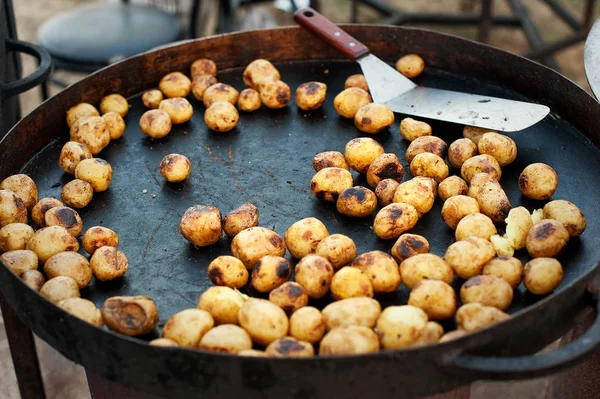 Büyük bir tavada genç bir patates. Dışarıda kavrulmuş.