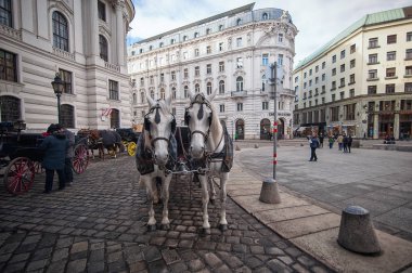 Viyana, Avusturya - 07 Mart 2018: at arabası Hofburg Sarayı, turistler ve insanlar ile güneşli gün geniş açılı manzaraya üzerinde.