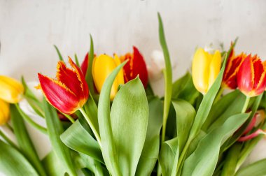 Lale hafif bir arka plan üzerinde. Üstten Görünüm