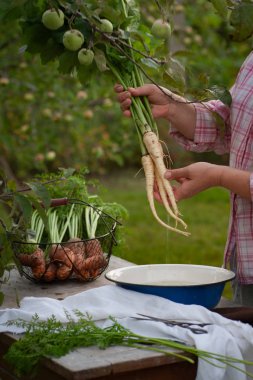 Kadın çamaşır yabani havuç kök tops Bahçe ile