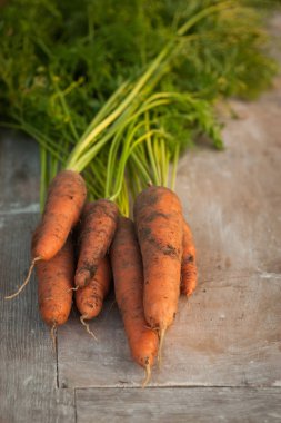 Havuç, ilk bahar yaz kırpma. Sağlıklı gıda, Bahçe.