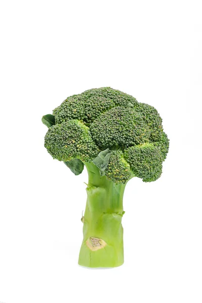 Brokkoli auf weißem Hintergrund. isoliertes Foto — Stockfoto