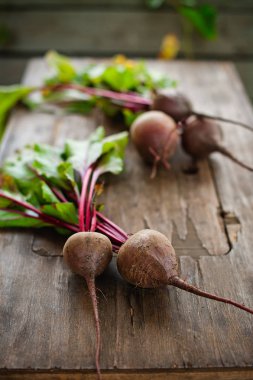Ahşap arka plan üzerinde taze organik pancar demet. Diyet, ham, vejetaryen yemek kavramı. Çiftlik, rustik ve ülke stil