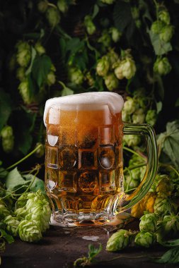 Köpük ışıklı biralı birbardak bira. Bira köpüğü. Arka planda yeşil atlamalar.