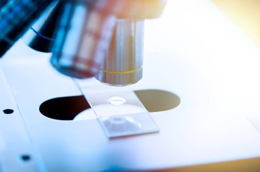 Laboratuvarda Mikroskopların Kapanışı, Seçici Odaklanma